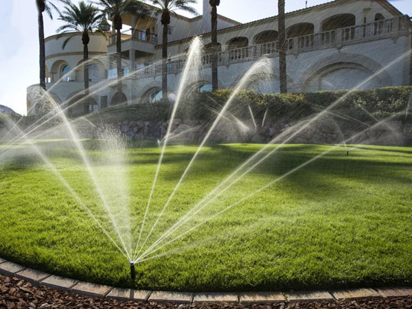 Hệ thống tưới sân vườn tự động 